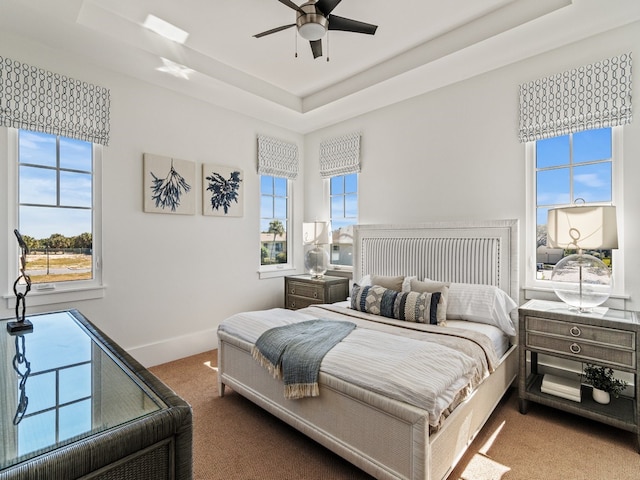 bedroom featuring a raised ceiling, multiple windows, ceiling fan, and carpet flooring