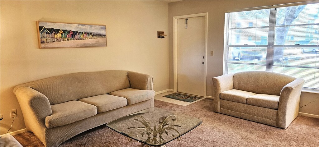 carpeted living room featuring a wealth of natural light