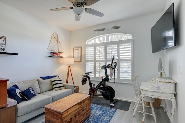 exercise room with wood-type flooring and ceiling fan