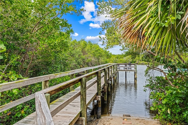 dock area featuring a water view