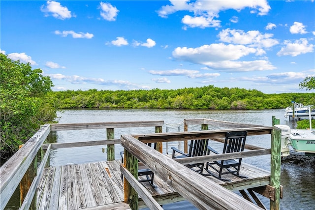 view of dock with a water view