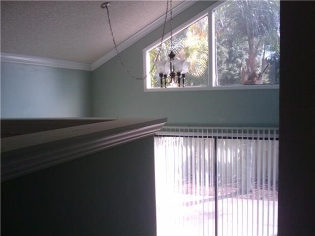 interior space featuring crown molding, lofted ceiling, and a textured ceiling