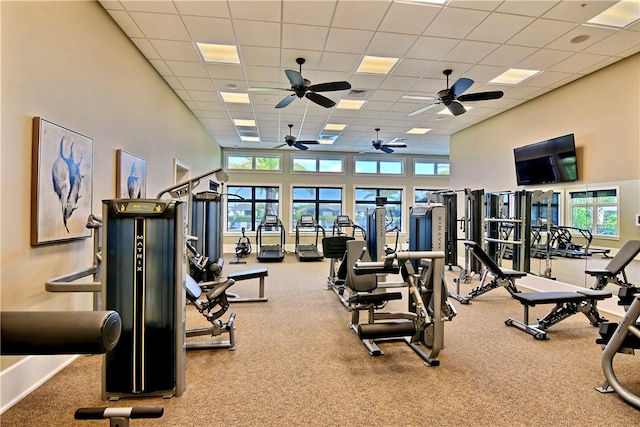 workout area with a drop ceiling, a towering ceiling, plenty of natural light, and carpet flooring