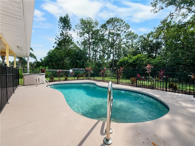 view of pool featuring a patio area