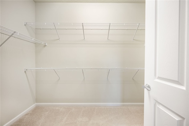 spacious closet featuring light carpet