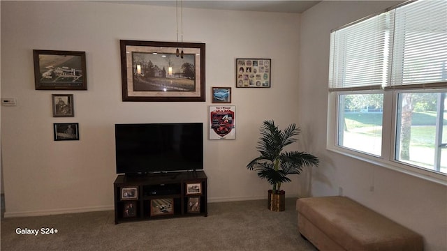 view of carpeted living room