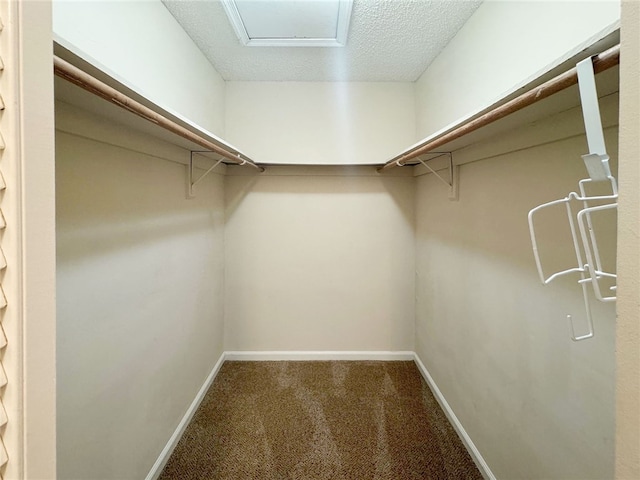 walk in closet featuring carpet flooring