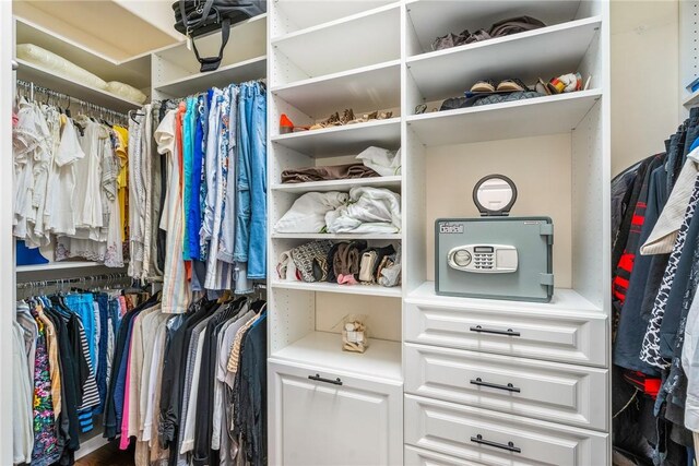 view of walk in closet