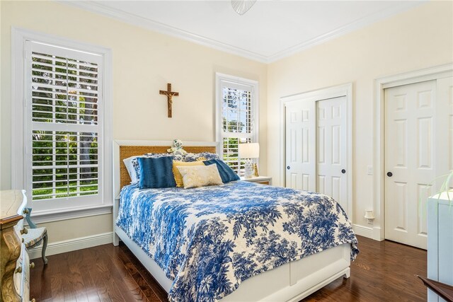 bedroom with dark hardwood / wood-style floors, crown molding, and two closets