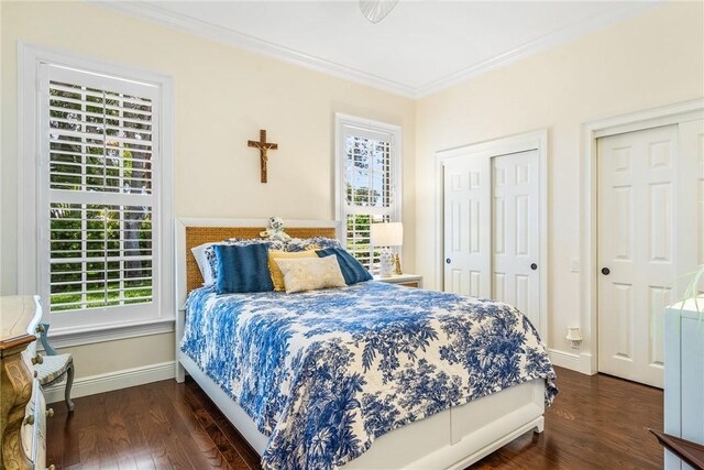 bedroom featuring wood finished floors, multiple windows, crown molding, baseboards, and multiple closets