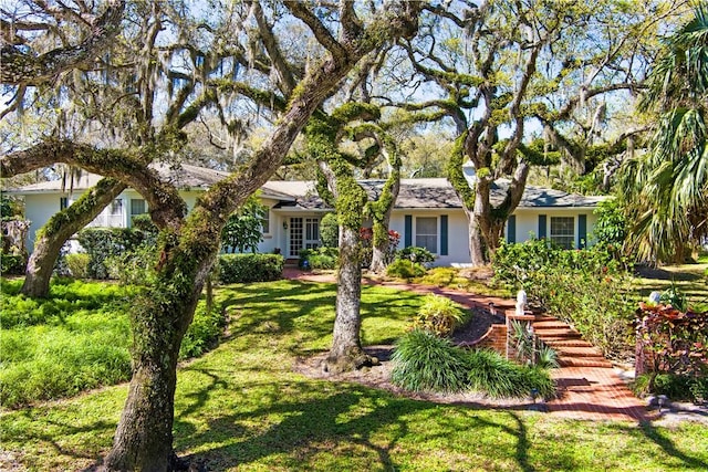 view of front of property with stucco siding and a front lawn