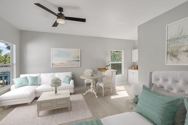 living room featuring ceiling fan and light hardwood / wood-style flooring