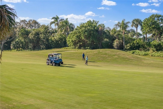 surrounding community with a yard