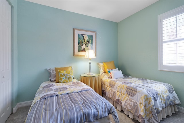 bedroom featuring carpet flooring, multiple windows, and a closet