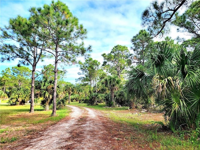 15350 93rd St, Fellsmere, FL 32948 - photo 3