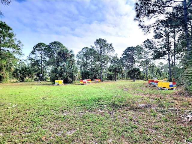 15350 93rd St, Fellsmere, FL 32948 - photo 16