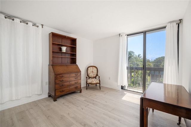 sitting room featuring light wood-type flooring