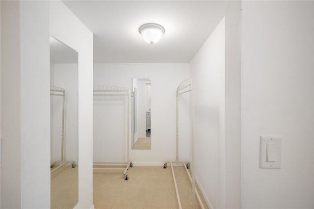 spacious closet with light carpet