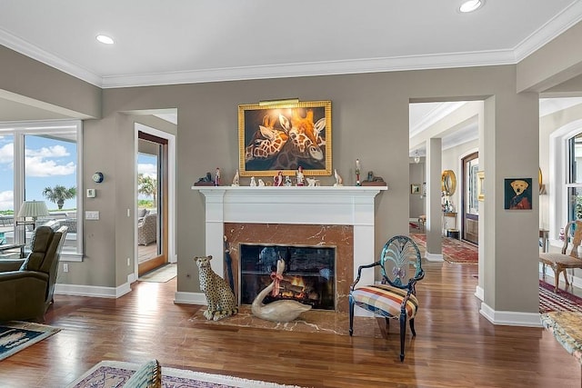 living room featuring crown molding, wood-type flooring, and a fireplace