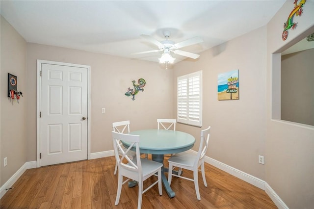 dining space with ceiling fan and light wood-type flooring