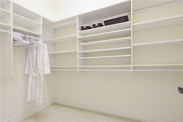 walk in closet featuring carpet floors