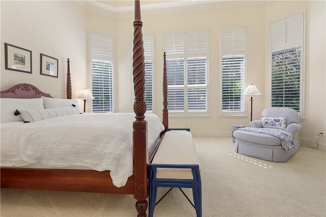 bedroom featuring carpet flooring