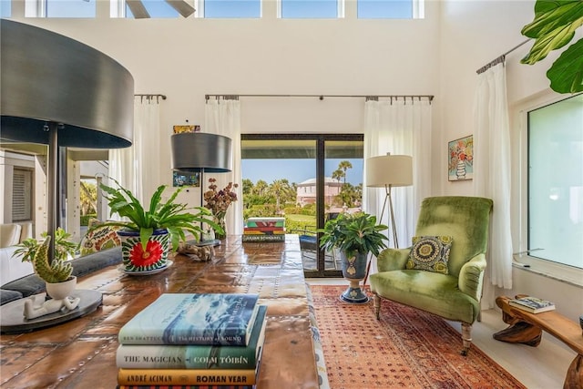 living room with a towering ceiling