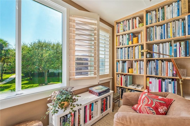 sitting room featuring a healthy amount of sunlight