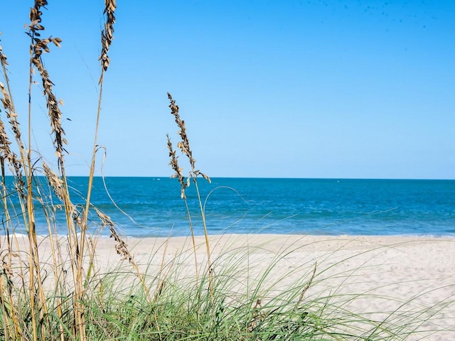 property view of water featuring a beach view