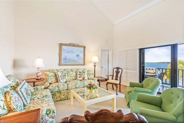 living room with high vaulted ceiling