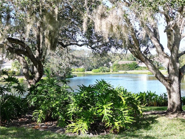 property view of water