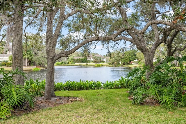 view of water feature