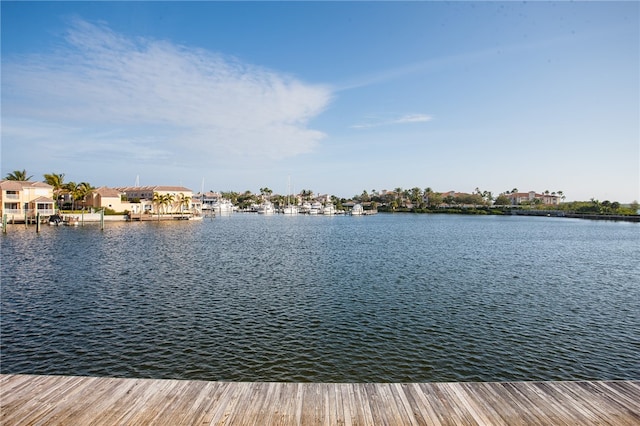 dock area with a water view