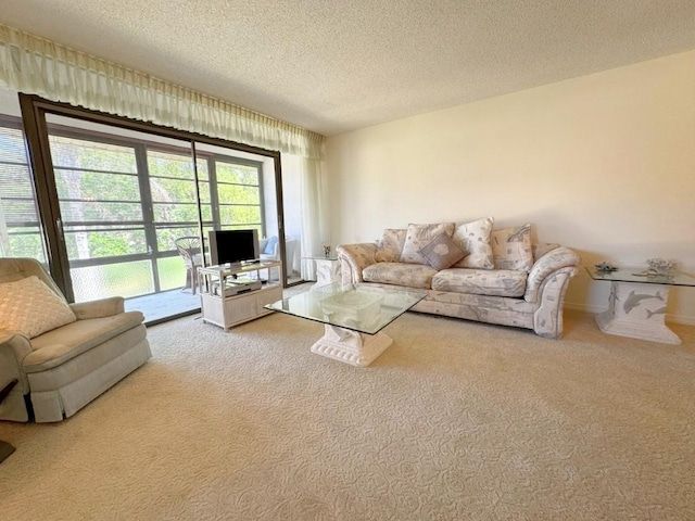 carpeted living area featuring a textured ceiling