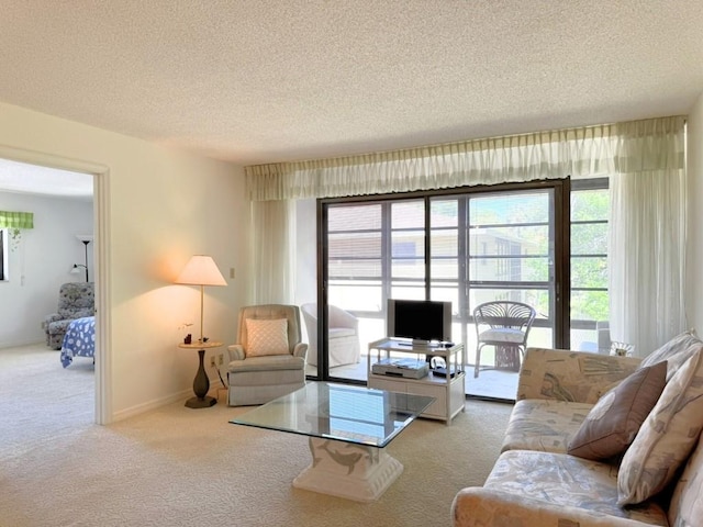 carpeted living area featuring a textured ceiling and baseboards