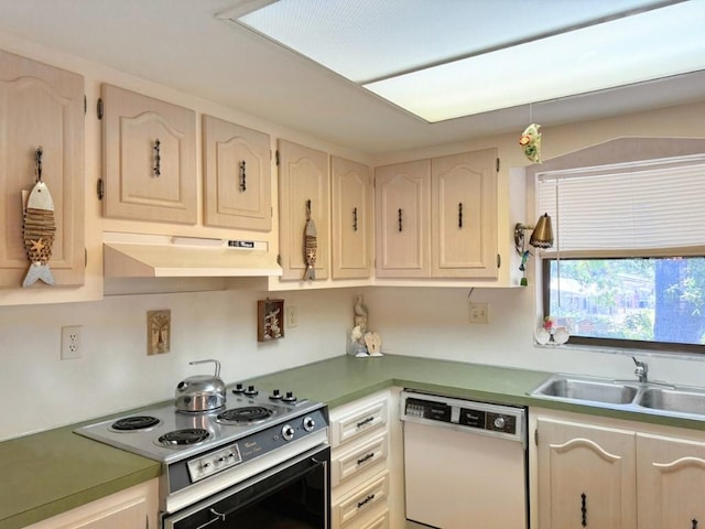 kitchen featuring under cabinet range hood, dishwasher, a sink, and electric stove