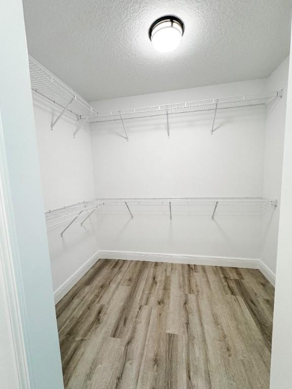 7865 97th Ave, Vero Beach, FL 32967 - walk in closet with light wood finished floors