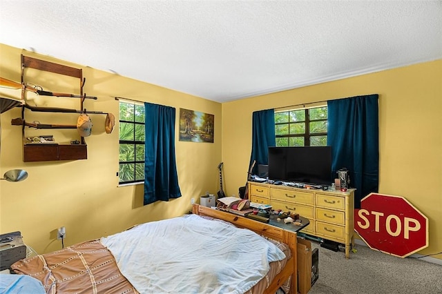 bedroom featuring carpet flooring, a textured ceiling, and multiple windows