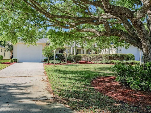 946 S Easy St, Sebastian, FL 32958 - view of property hidden behind natural elements featuring stucco siding, a front lawn, a garage, and concrete driveway