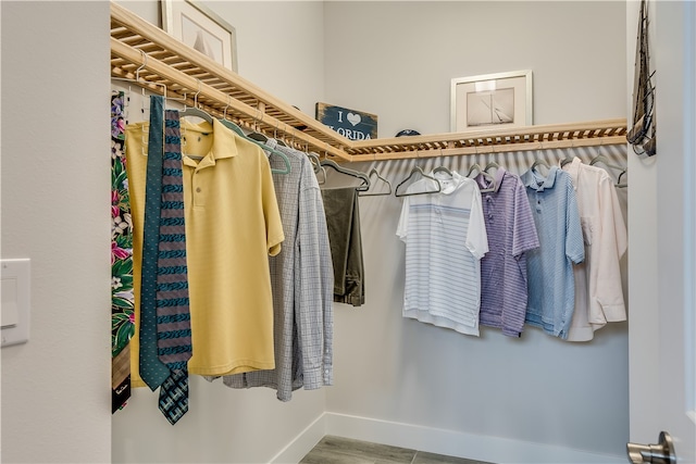 spacious closet with wood-type flooring