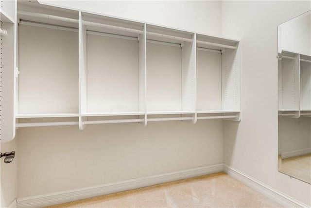 view of walk in closet