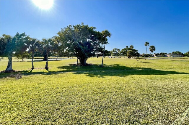 view of home's community featuring a yard