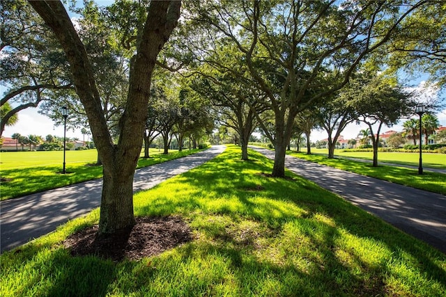 5520 N Harbor Village Dr Unit 204, Vero Beach, FL 32967 - view of home's community with a lawn