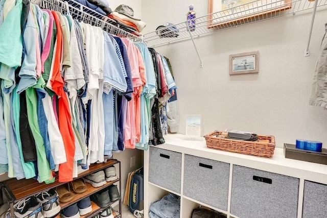 view of spacious closet