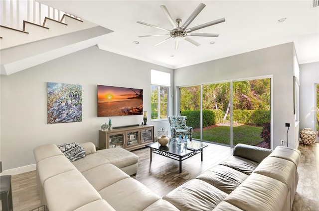 living room featuring ceiling fan, crown molding, and light hardwood / wood-style flooring