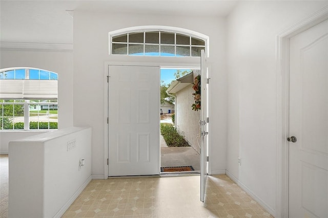 entrance foyer featuring a wealth of natural light