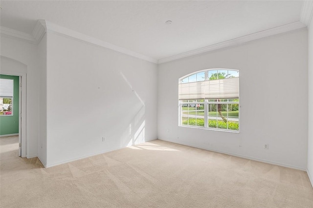 spare room with light colored carpet and ornamental molding