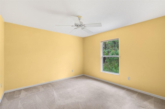 unfurnished room featuring ceiling fan and carpet floors