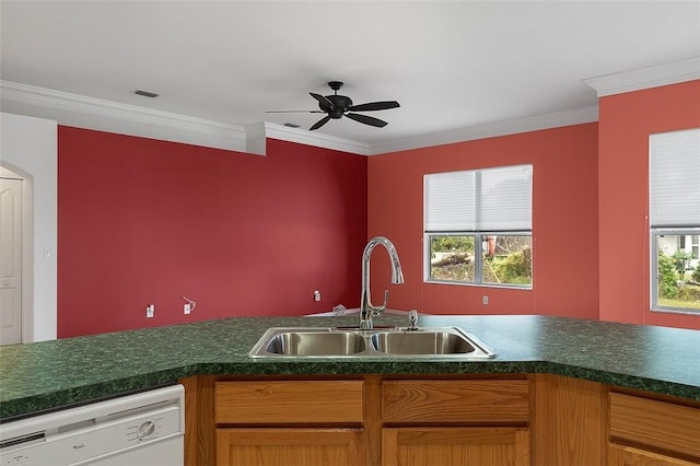 kitchen with white dishwasher, crown molding, a healthy amount of sunlight, and sink