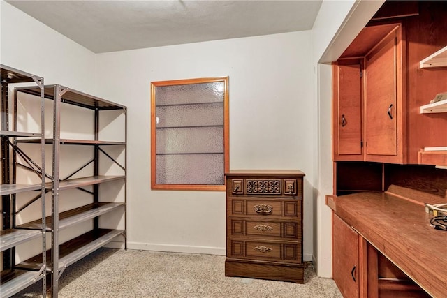 walk in closet with light colored carpet